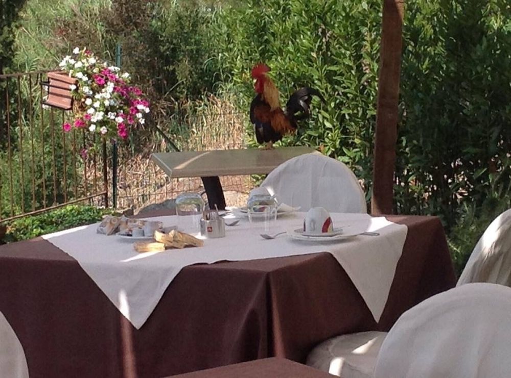 La Locanda Di Ortimino Montespertoli Exterior foto
